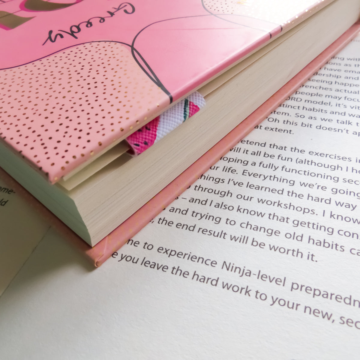 Watermelon Magnetic Bookmark Set