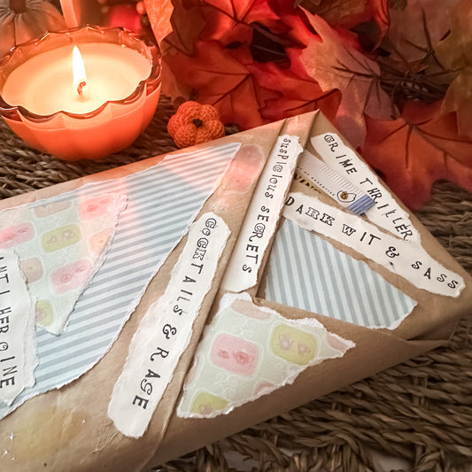 Cosy Book Bundle - Crime Thriller Edition