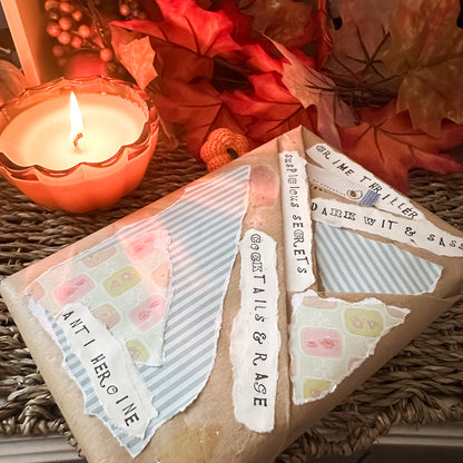 Cosy Book Bundle - Crime Thriller Edition